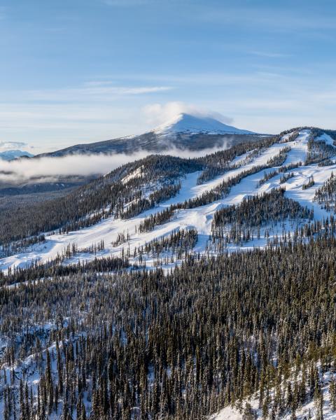 Snow covered landscape
