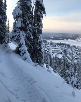 Winter trail overloooking Dawson city and the river