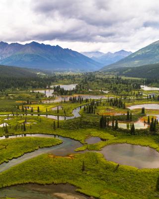 Teslin Tlingit Council