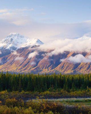 Mountains awash in the pink glow of a sunset sit nestled among bright green evergreen trees. 