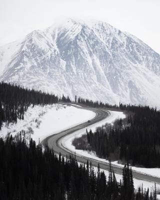 A road winds through the trees in front of a large, snowy mountain