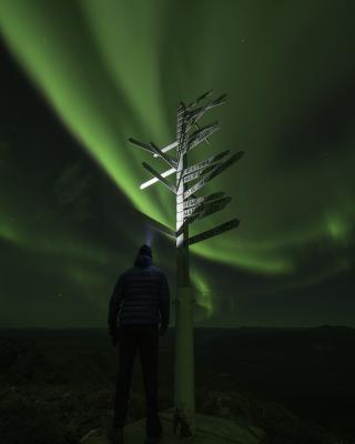 A person stands beside a white sign post under the aurora