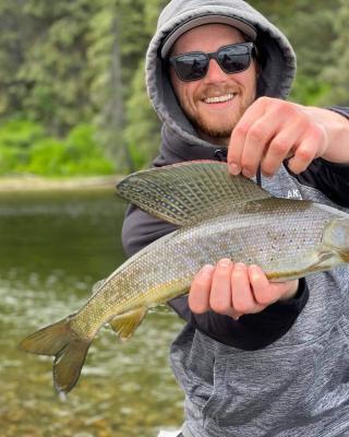 Wolf River Yukon Grayling