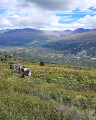 Yukon Horseback Hunt