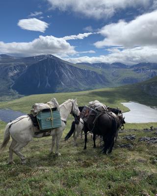 Yukon Horseback Hunt