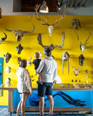A young family looks at an exhibit at the Beringia Centre