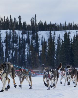 YQ250 RACE TEAM ON YUKON RIVER 2023