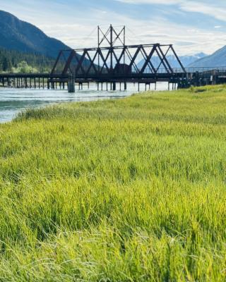 carcross bridge grass summer