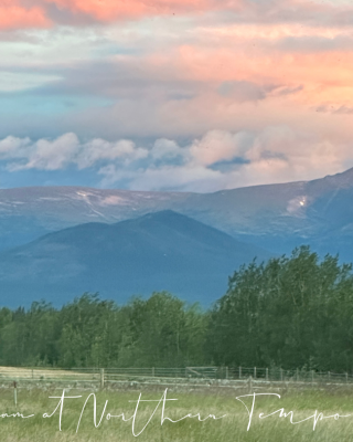 summer mountain view from deck