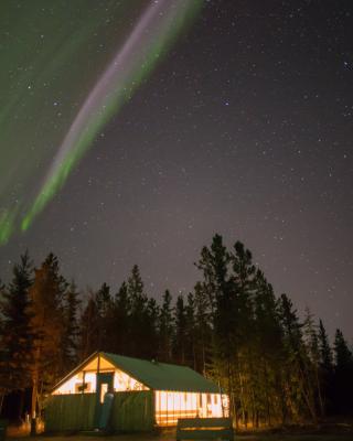 The aurora dancing over the sky