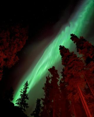 Aurora Borealis in the Yukon