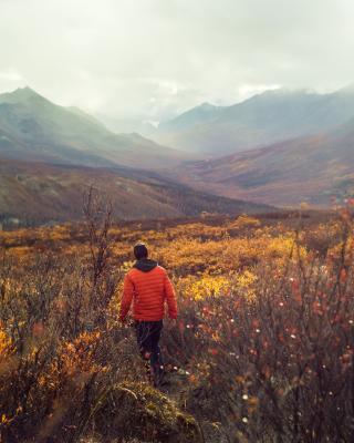 A hiker walks through vibrant reds and oranges in Tombstone park