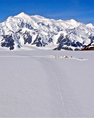 Icefield Camp