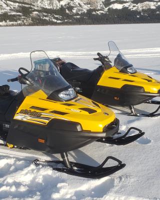 Snowmobile tours