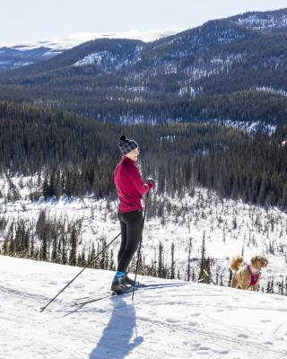 Skier standing still on a groomed trail, overlooking a winter meadow and mountain range.