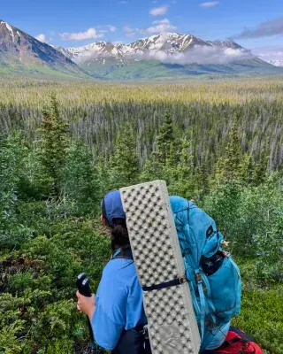 Backpacker on Cottonwood trail looking over valley Kluane National Park