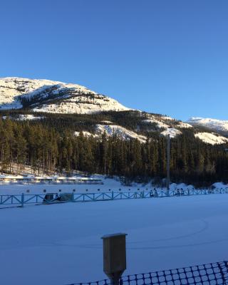 sun on Grey Mountain behind range
