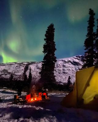 Camping under the northern lights 