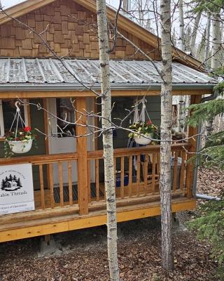 Photo of outside of cabin