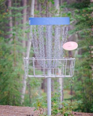 Disc going in the basket