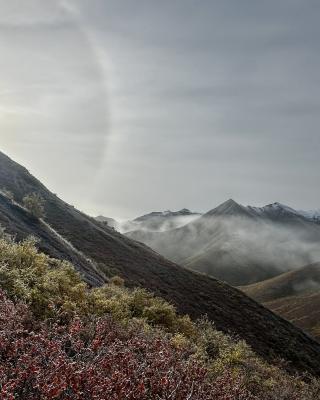mist