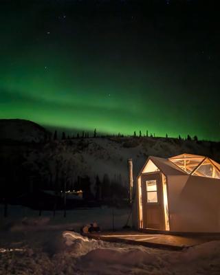 northern lights in winter over dome