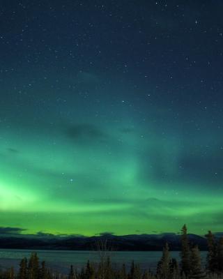 Northern Lights Skies in the Yukon 
