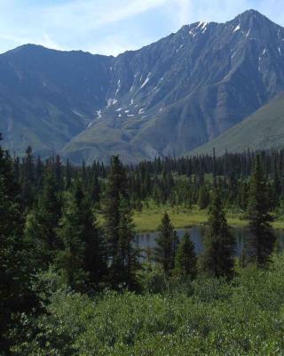 black-bear-wilderness-adventures2-apr2014_0_1.jpg