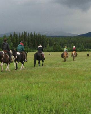 A group of people on a horsepacking adventure