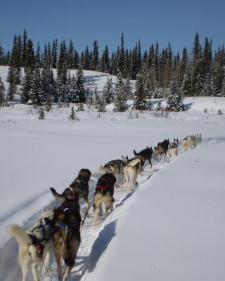 20090307_145618152_ - Copy.JPG