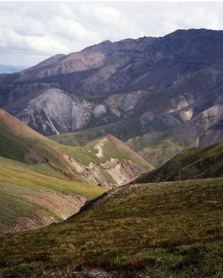 Dickson Outfitters.jpg