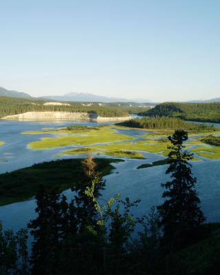 Views from Mountain View golf course