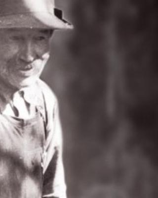 Whitehorse with a French touch.jpg