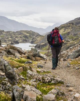 chilkoot hiker on trail sm.jpg