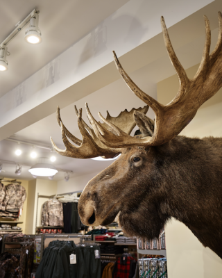 Screen Shot 2020-07-22 at 11.14.05 AM.png