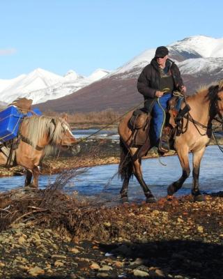 Guided horsepacking among fall colours and snow capped mountains