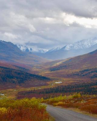 fall colours in tombstone territorial park