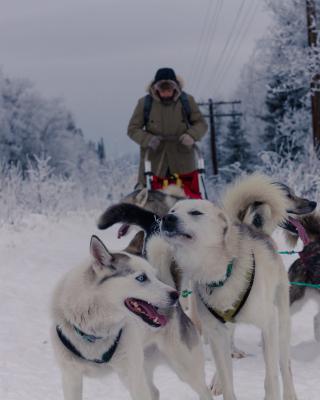 IMG_6916-min - Bertrand Bellencourt.jpg