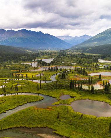 Teslin Tlingit Council