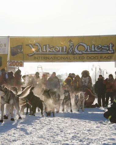 A musher starts the Yukon Quest International Sled Dog Race