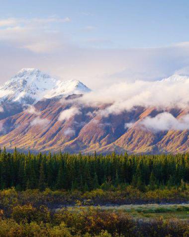 Mountains awash in the pink glow of a sunset sit nestled among bright green evergreen trees. 