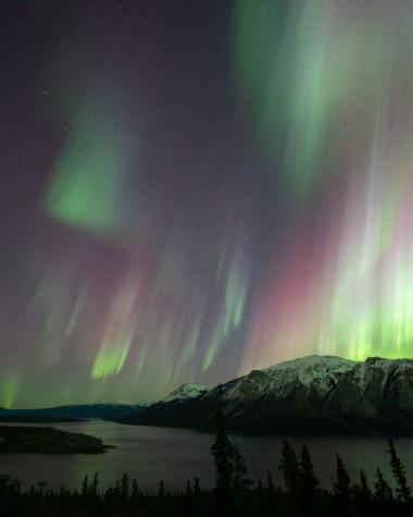 Purple, white and green aurora shine over a mountain and lake