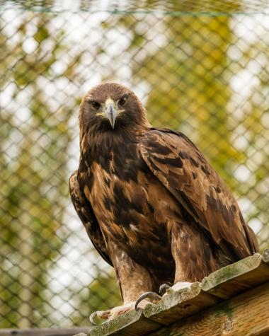 Bird at the wildlife preserve
