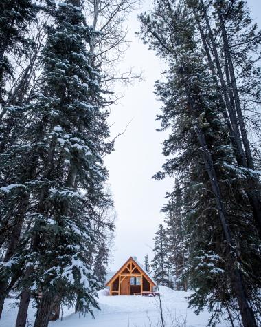 Harveys Hut of Whitehorse Nordic Ski Centre surrounded by wintry trees