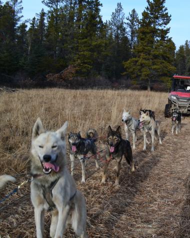 Fall training