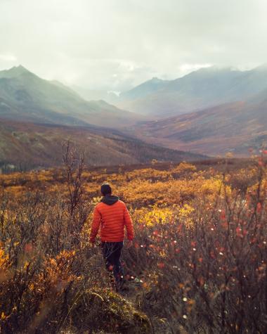 A hiker walks through vibrant reds and oranges in Tombstone park