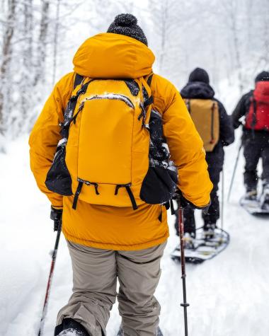 Snowshoeing through a winter landscape