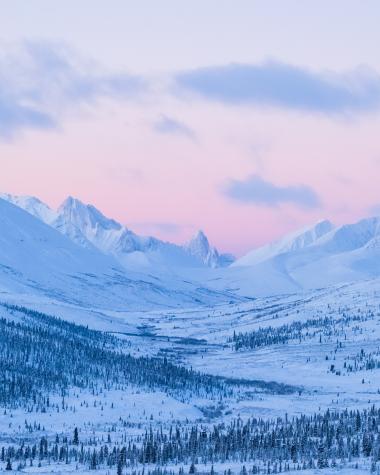 Pink skies Yukon in the winter