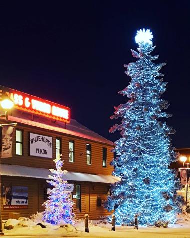 Christmas tree in downtown Whitehorse
