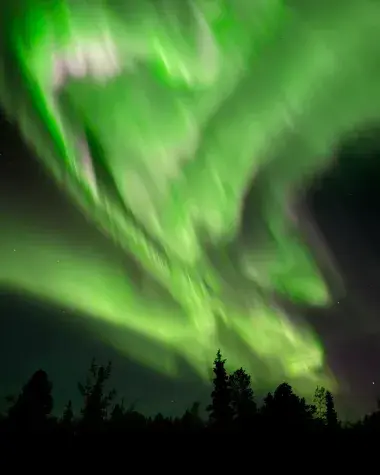 Northern Lights above Whitehorse wilderness